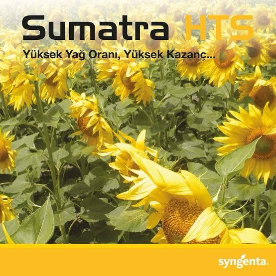 Syngenta Sumarta